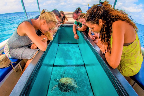 Glass Bottom Boat